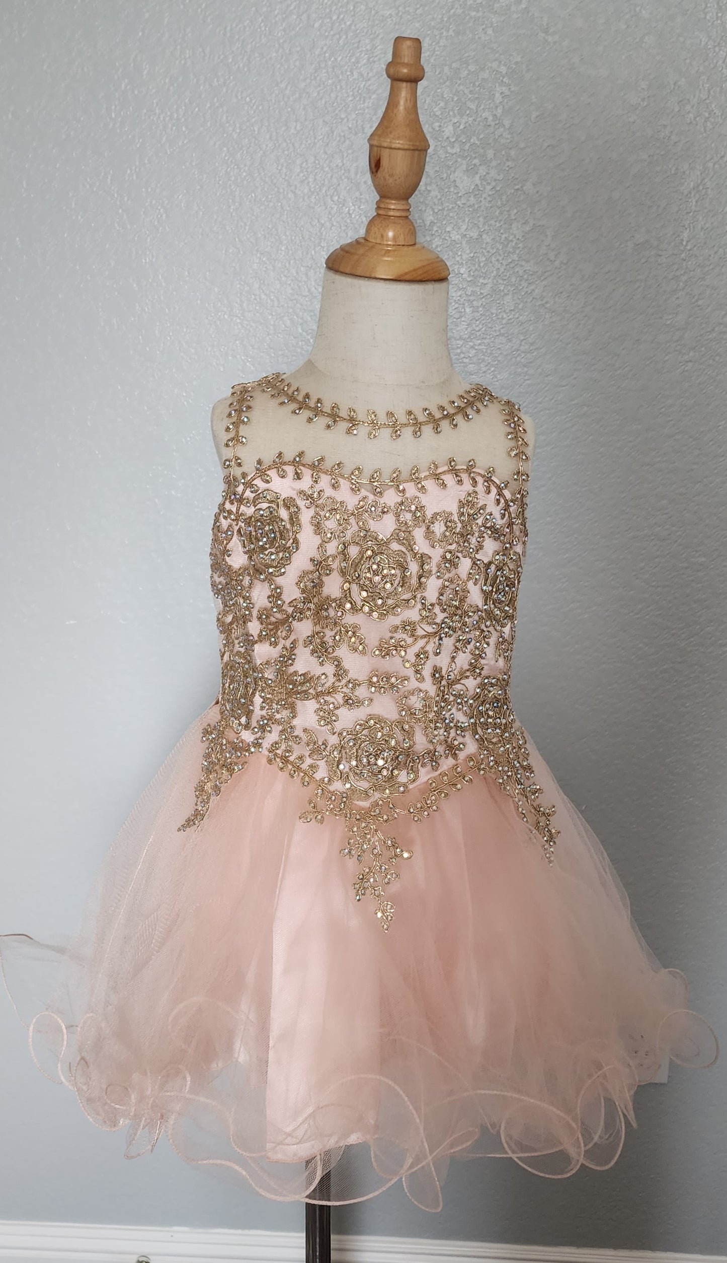princess Embellished tulle dress