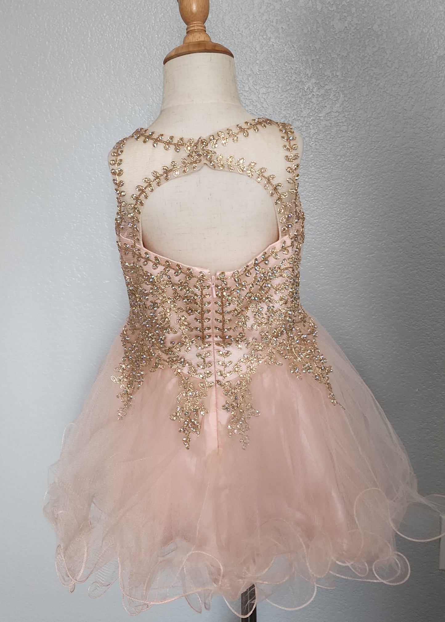 princess  Embellished tulle dress