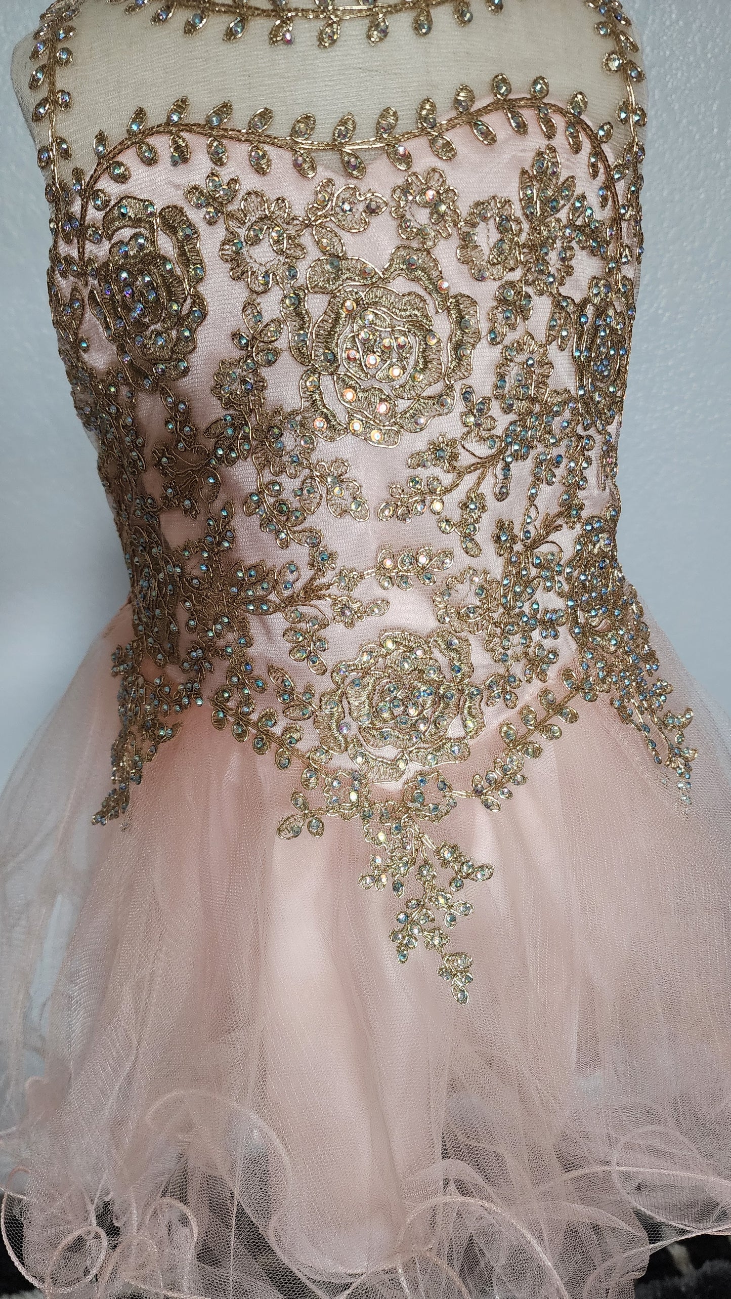 princess  Embellished tulle dress