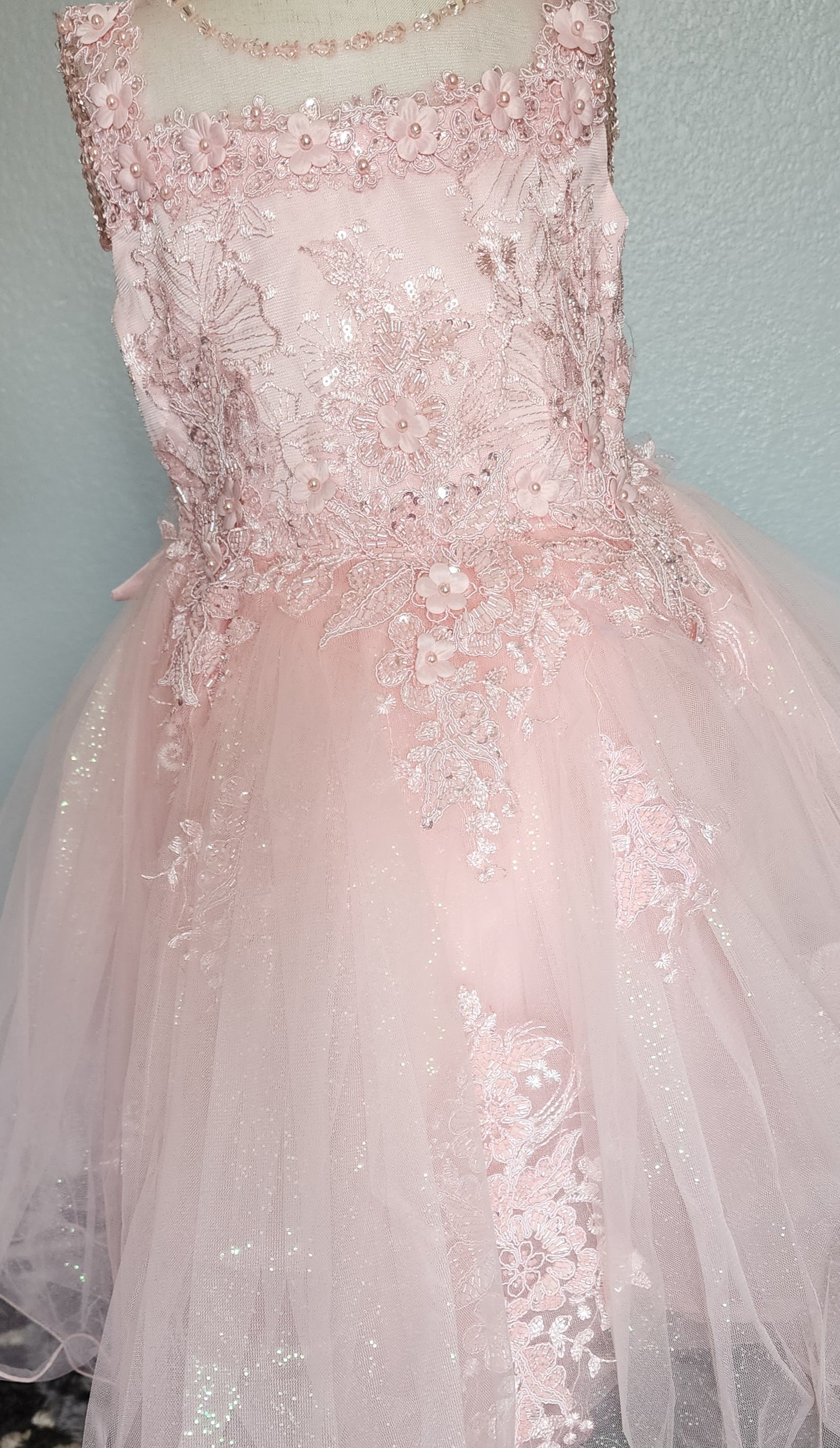 Elegant blush Lace Princess Dress with Shoulder Beads