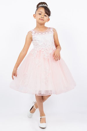 Elegant blush Lace Princess Dress with Shoulder Beads